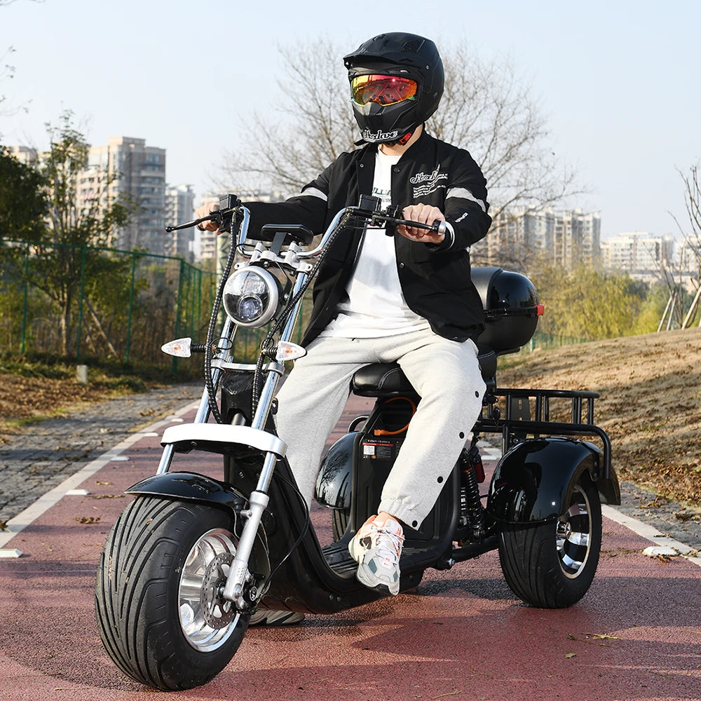 Three Wheel Electric Bike Tricycle Adult Motorcycle