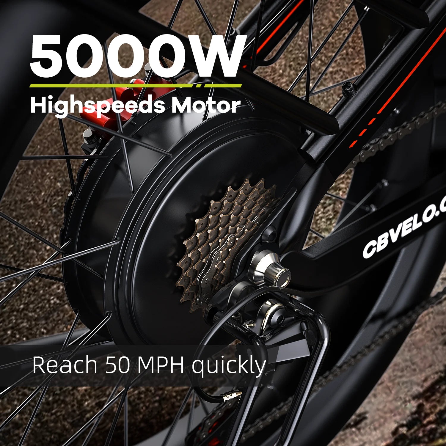 Fat Tire Electric Bike