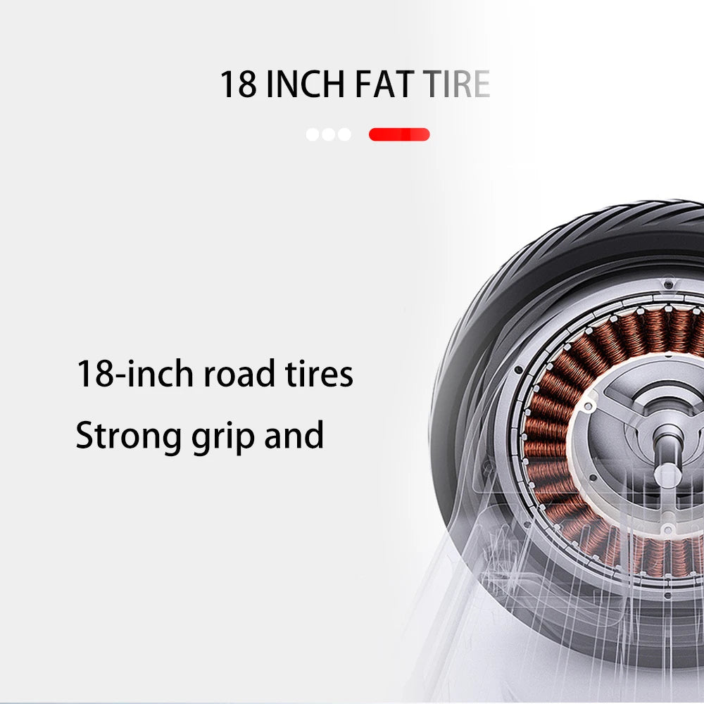 Adult Electric 3 Wheel Scooter 18 Inch Off road Fat Tire