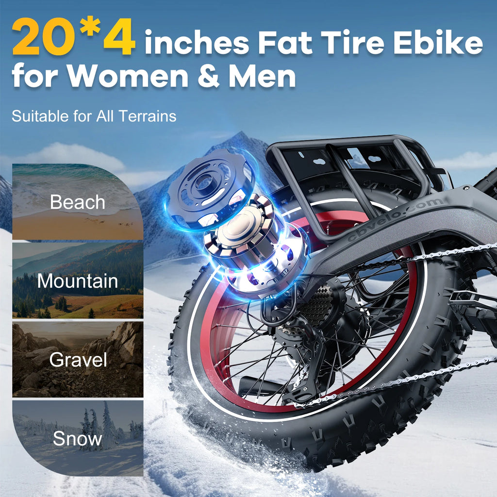 Folding Electric Bike for Adults