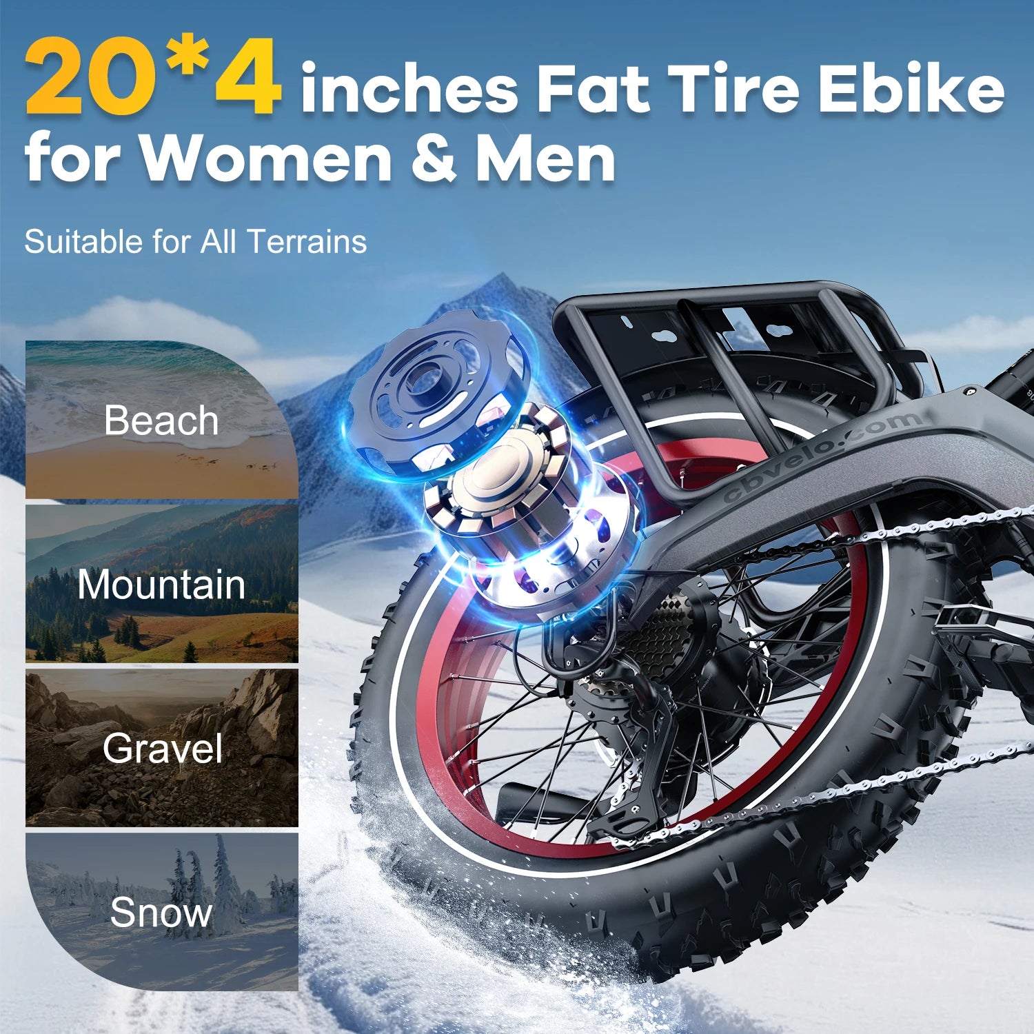 Folding Electric Bike for Adults