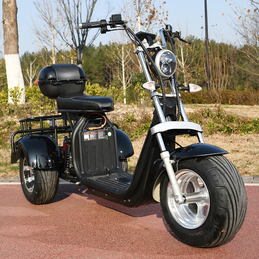 Three Wheel Electric Bike Tricycle Adult Motorcycle