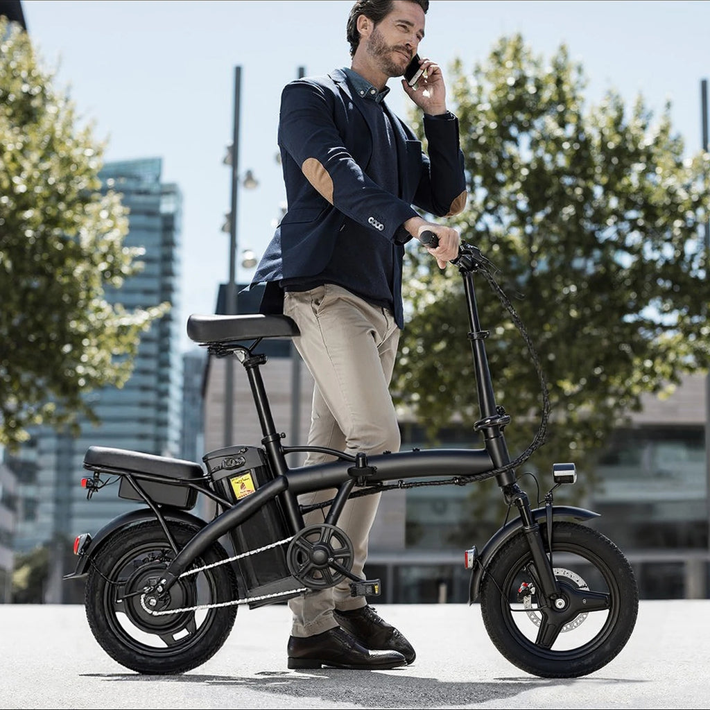 Adult and Child Electric Bike