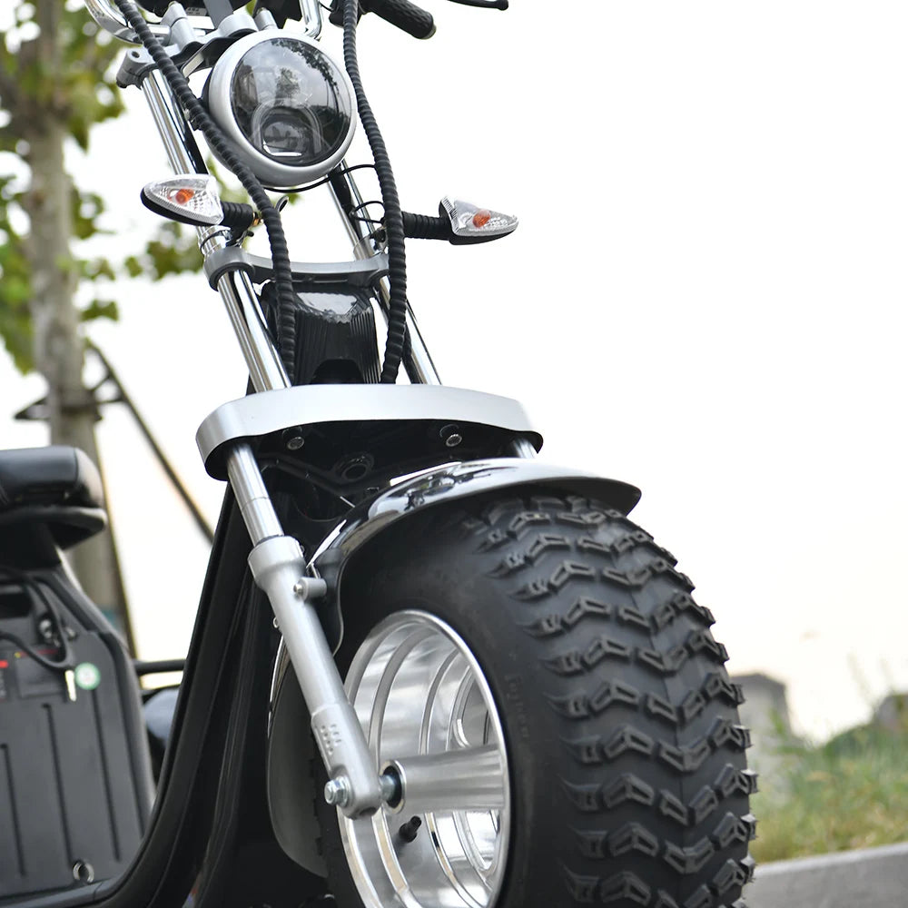 Adult Electric 3 Wheel Scooter 18 Inch Off road Fat Tire