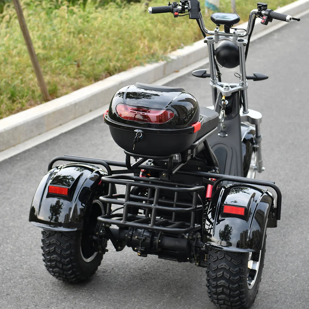 Adult Electric 3 Wheel Scooter 18 Inch Off road Fat Tire