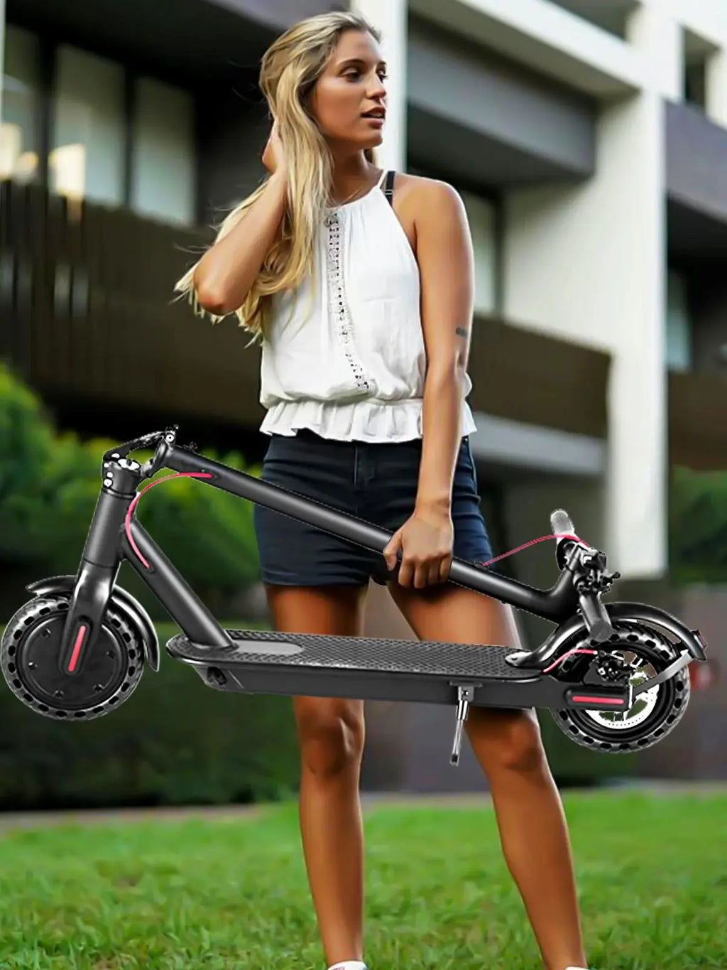 Free Shipping  Electric Scooter 12 Months Warranty  Cheap Price