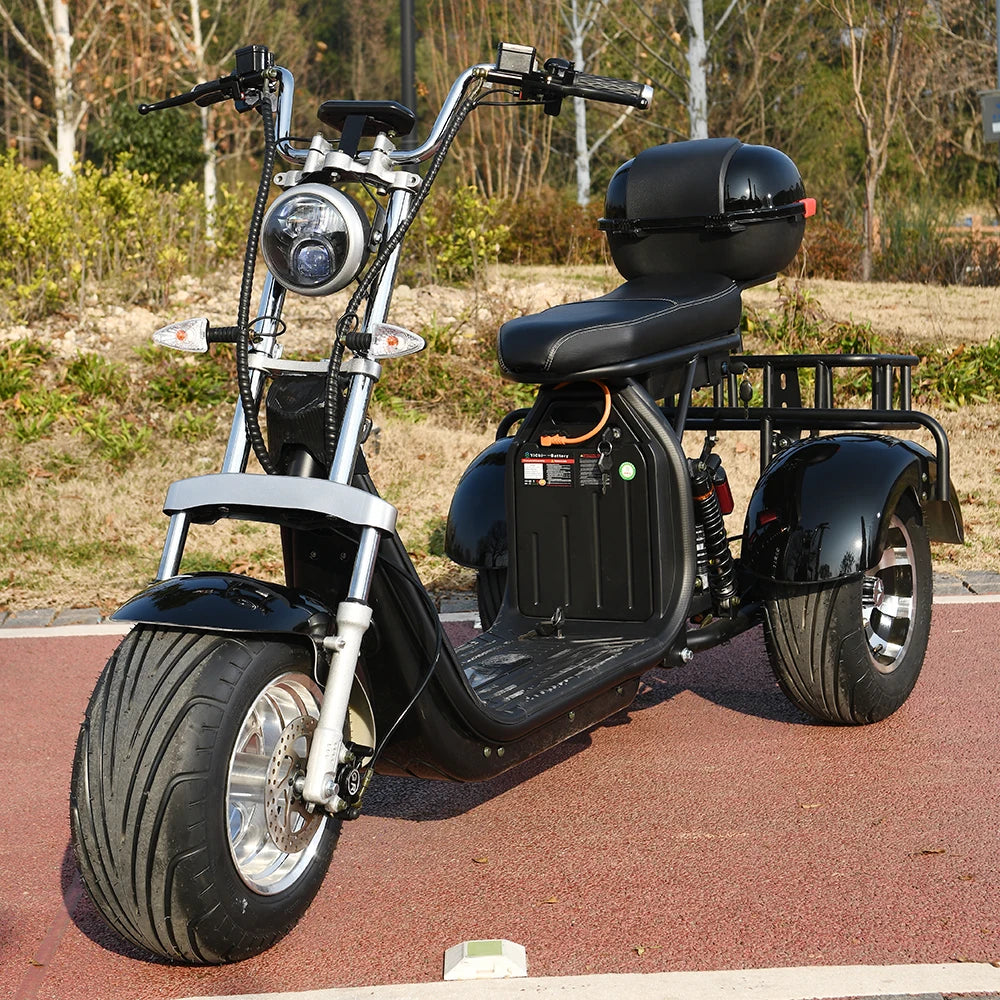 Three Wheel Electric Bike Tricycle Adult Motorcycle