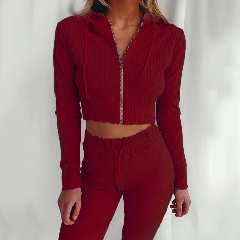 Hoodie Sweatshirts  Long Pant Fleece Two Piece