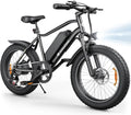 Fat Tire Ebike for Adults