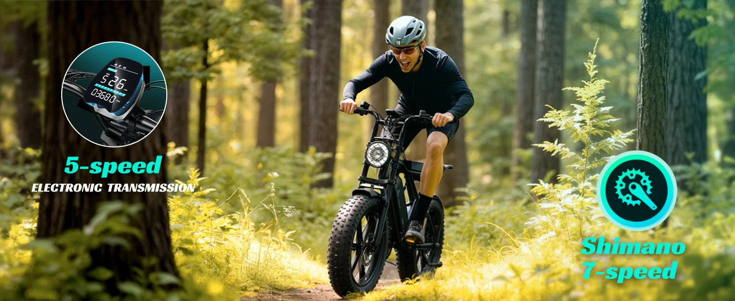 e-bike, 20" fat tires, 60-mile range, for all terrains.