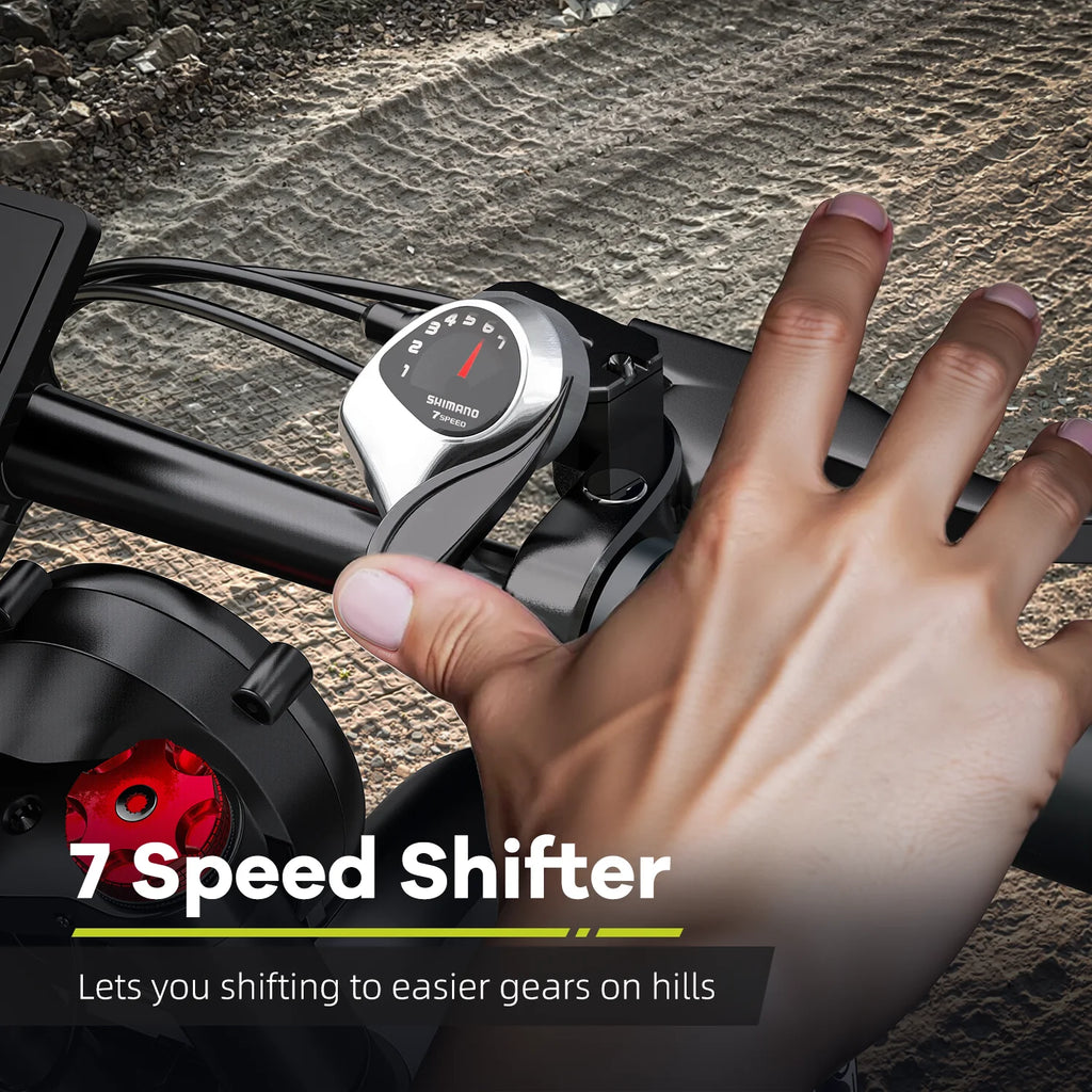 Fat Tire Electric Bike