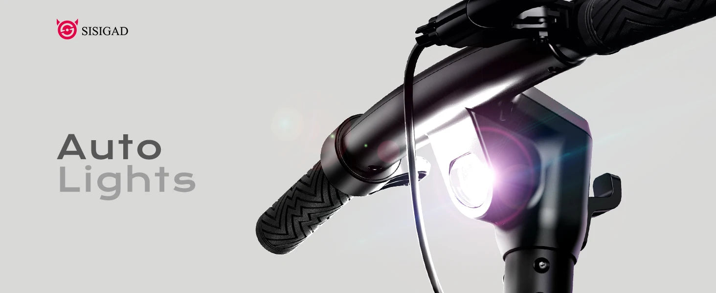 Electric Scooter: folding design, double braking system.