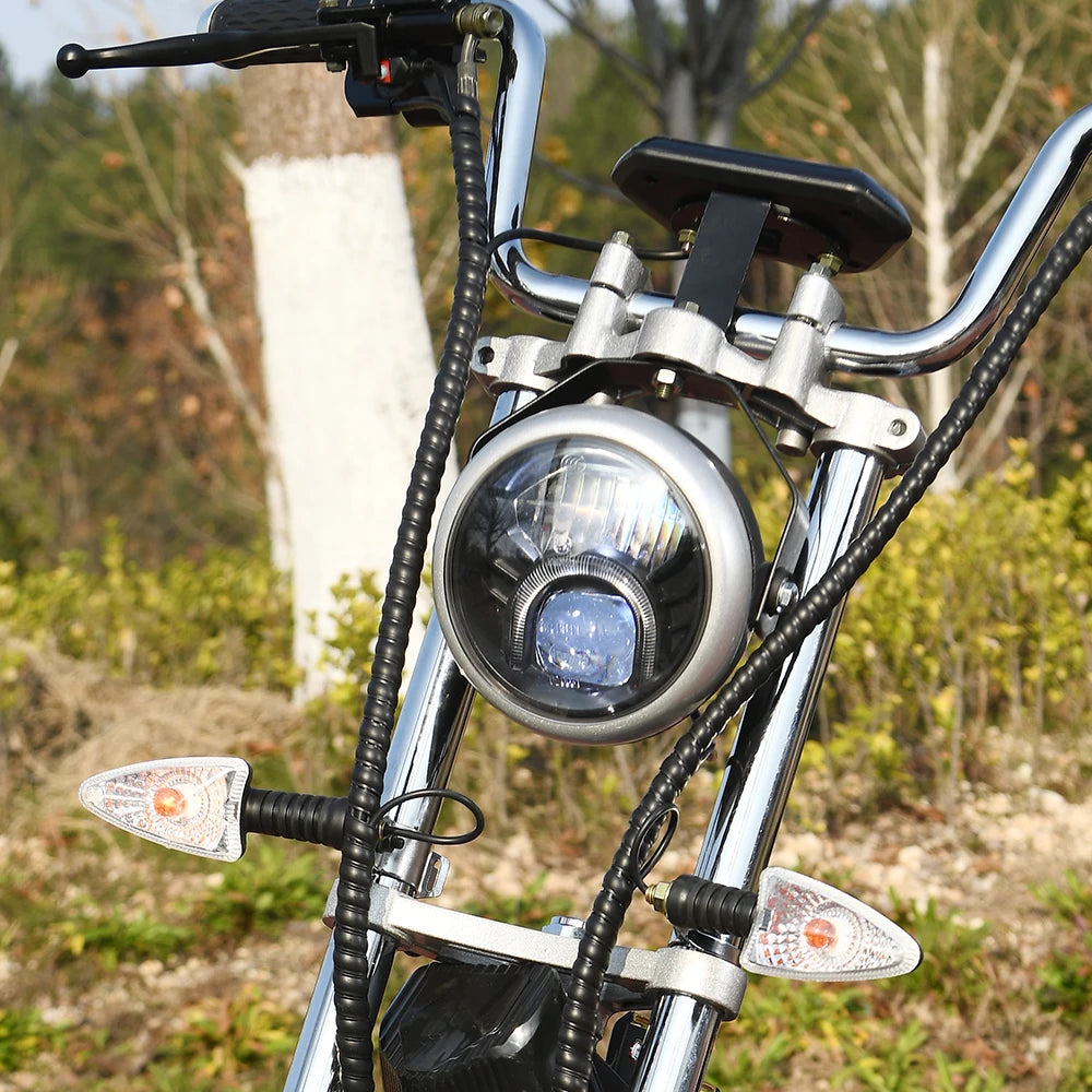 Three Wheel Electric Bike Tricycle Adult Motorcycle