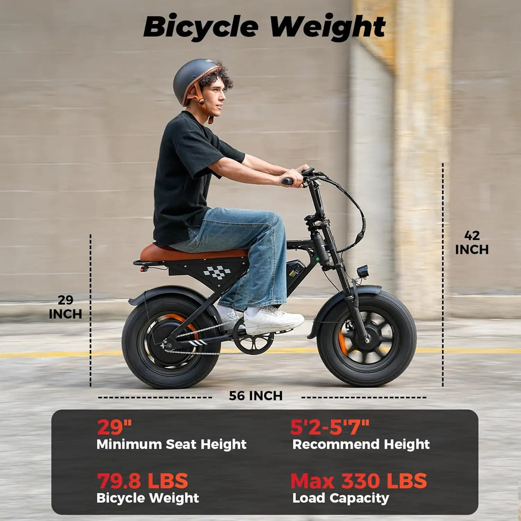 Off Road Electric Biker Adults Fat Tire