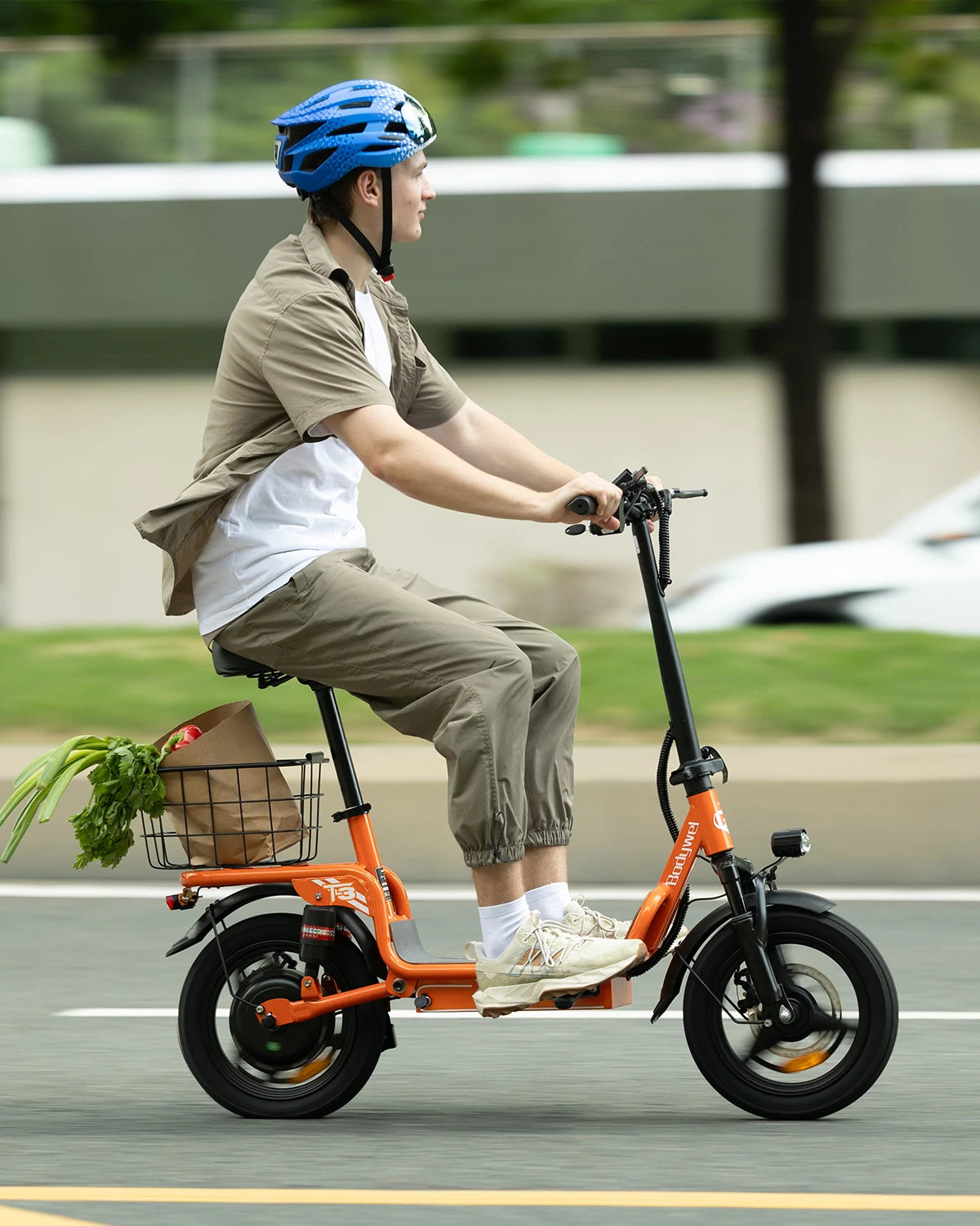 Bodywel T3 500W Electric Scooter with Seat, 14" Fat Tire E-Scooter, 48V 9AH Battery,32KM/H, Foldable ebike with Basket