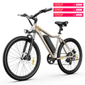 Electric Bike, 700W Peak Motor