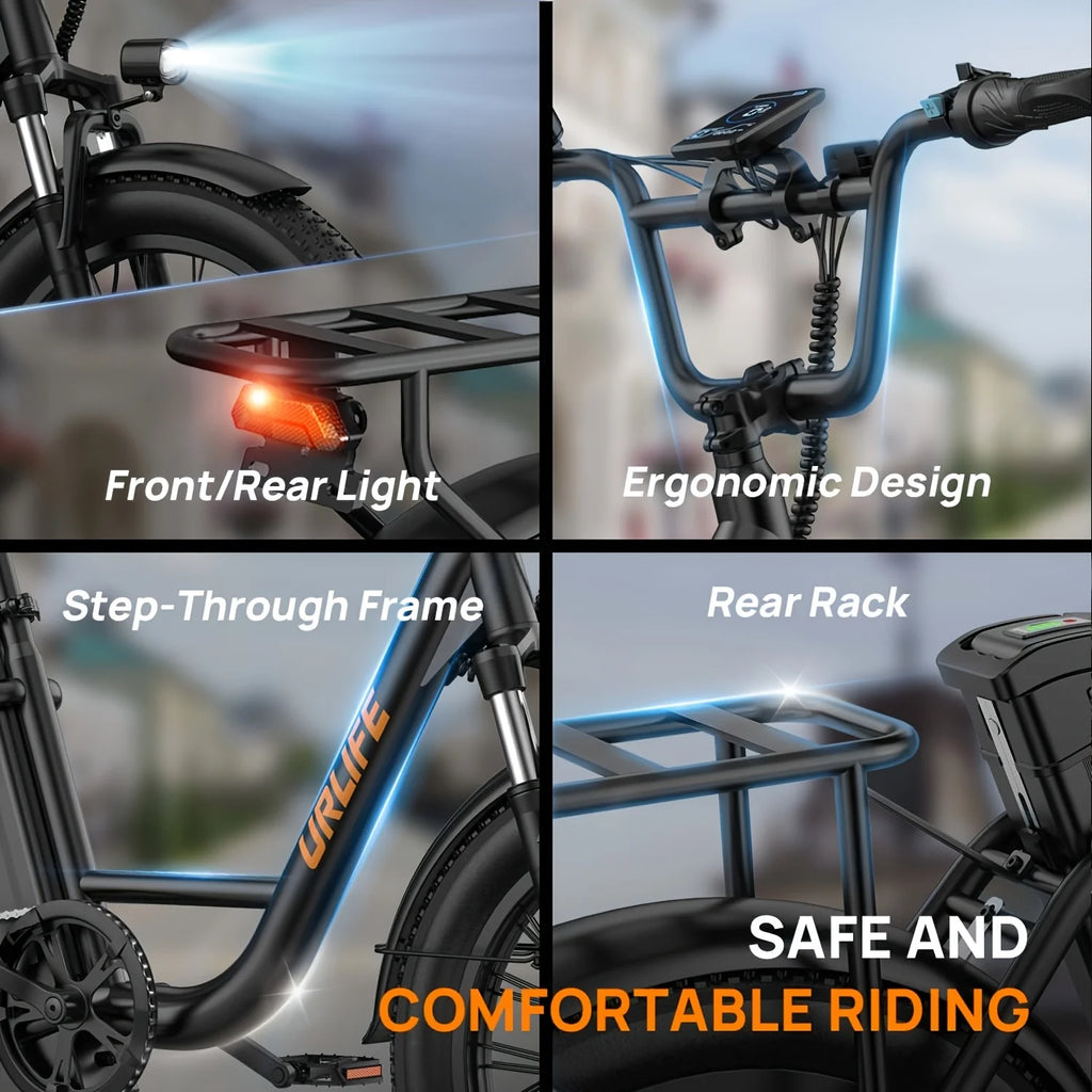 Electric Bike Removable Battery with Disc Brake