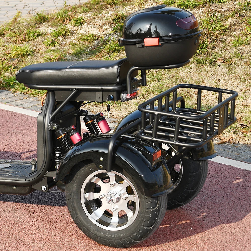 Three Wheel Electric Bike Tricycle Adult Motorcycle