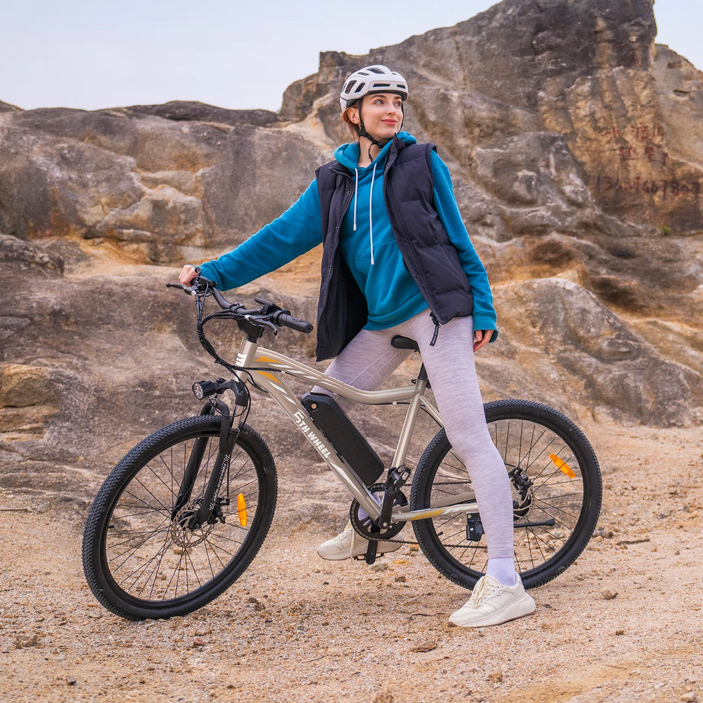 Electric Bike, 700W Peak Motor