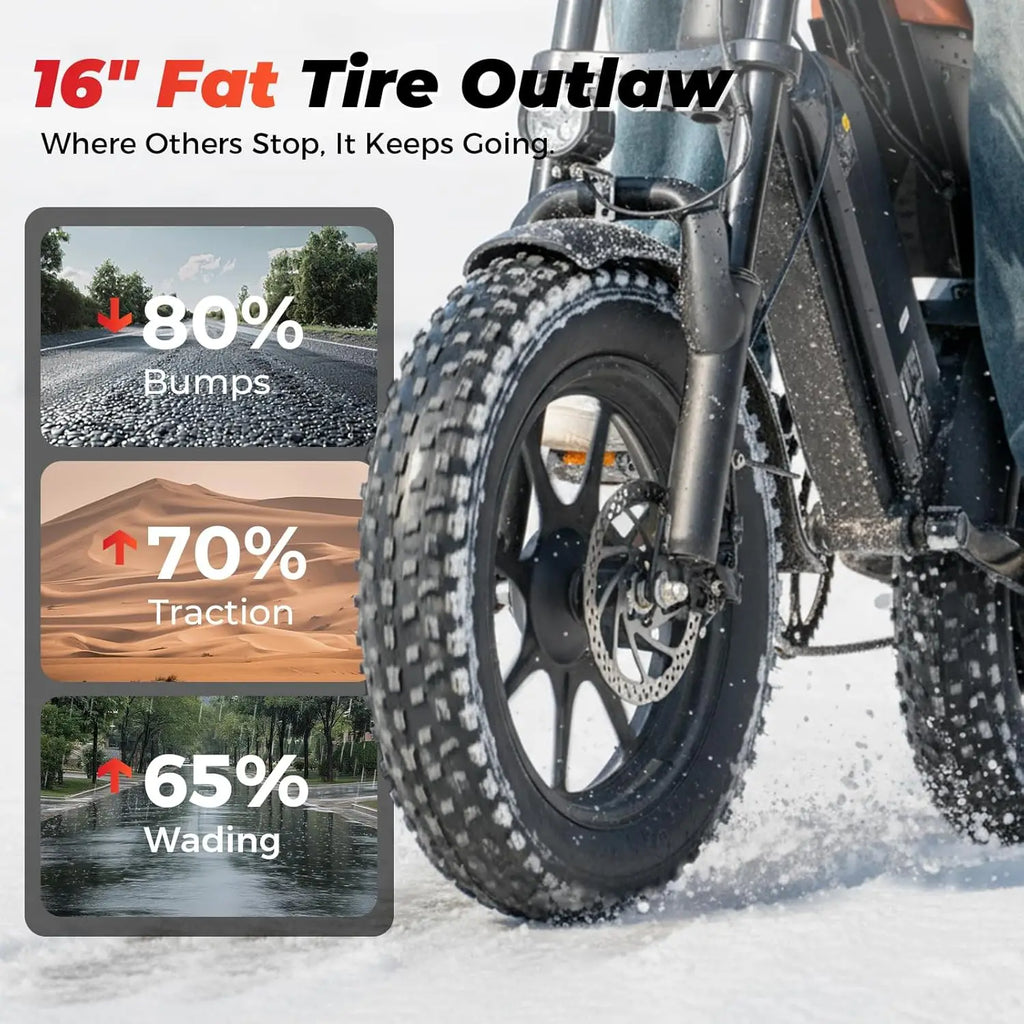 Off Road Electric Biker Adults Fat Tire