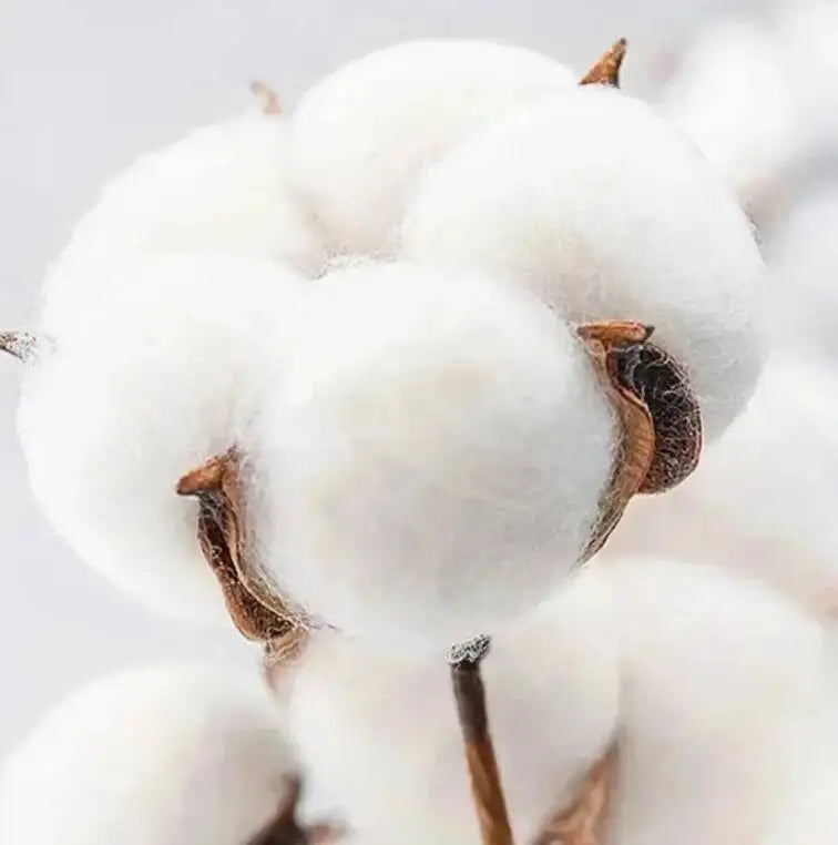 Disney Pixar Monsters University r Unisex Short Sleeves