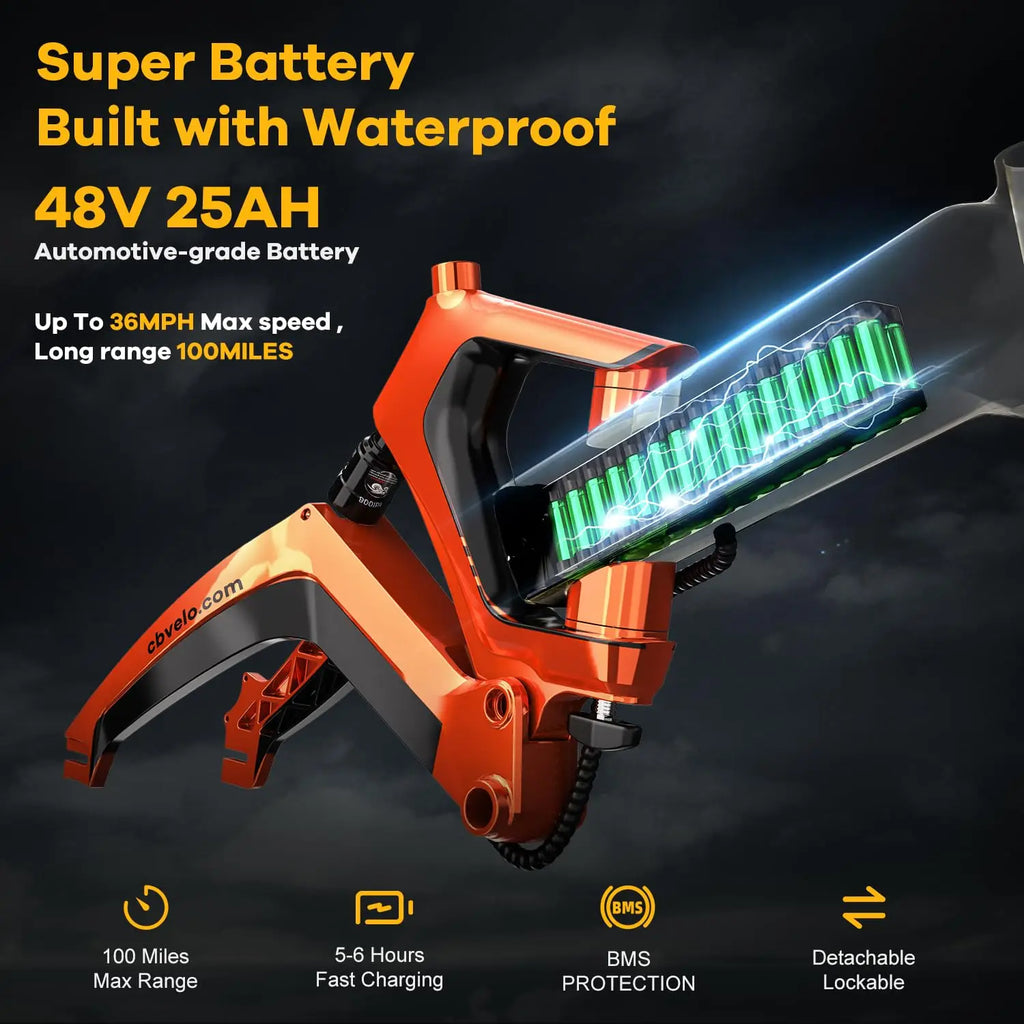 Folding Electric Bike for Adults