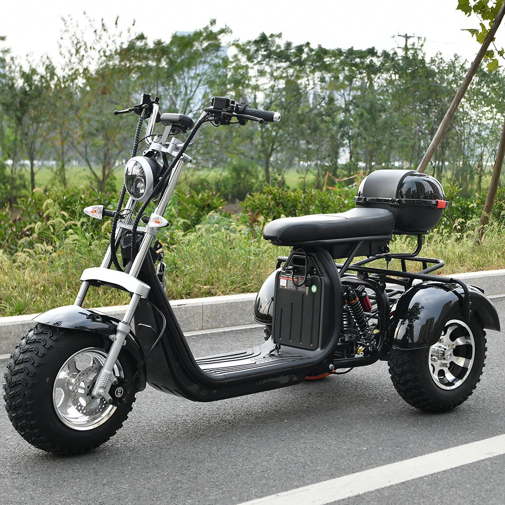 Adult Electric 3 Wheel Scooter 18 Inch Off road Fat Tire