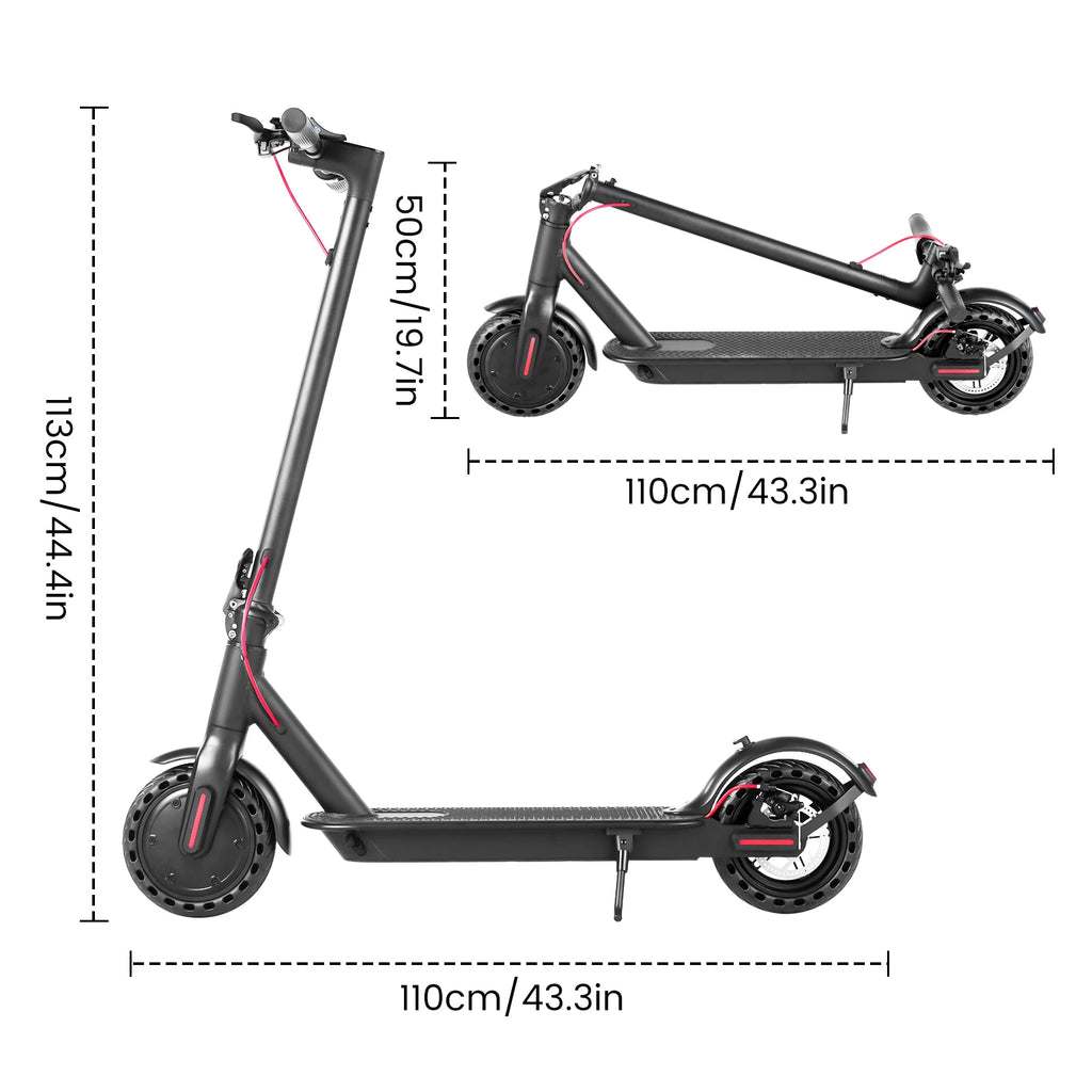 Free Shipping  Electric Scooter 12 Months Warranty  Cheap Price